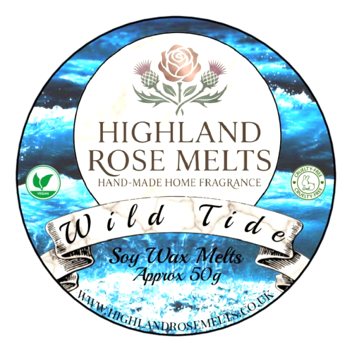 Wild Tide Wax Melt Pot