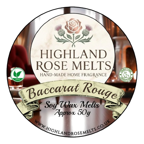 Baccarat Rouge Wax Melt Pot