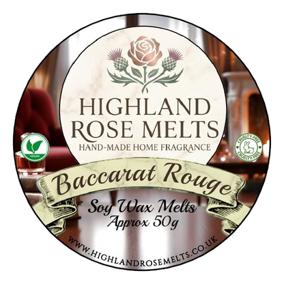 Baccarat Rouge Wax Melt Pot