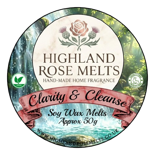 Clarity and Cleanse Wax Melt Pot