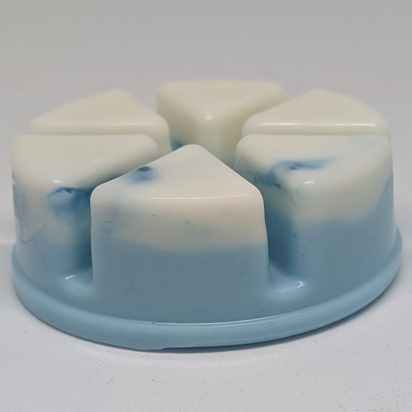 Frosted Eucalyptus Wax Melt Pot