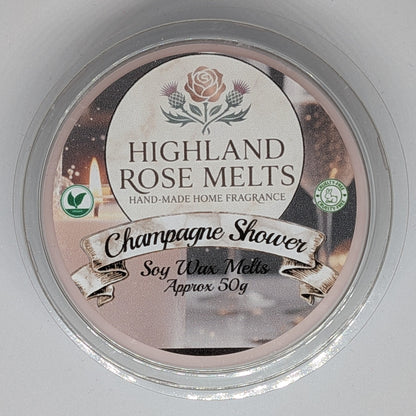 Champagne Shower Wax Melt Pot