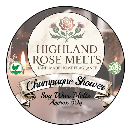 Champagne Shower Wax Melt Pot