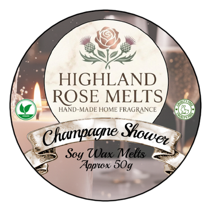 Champagne Shower Wax Melt Pot